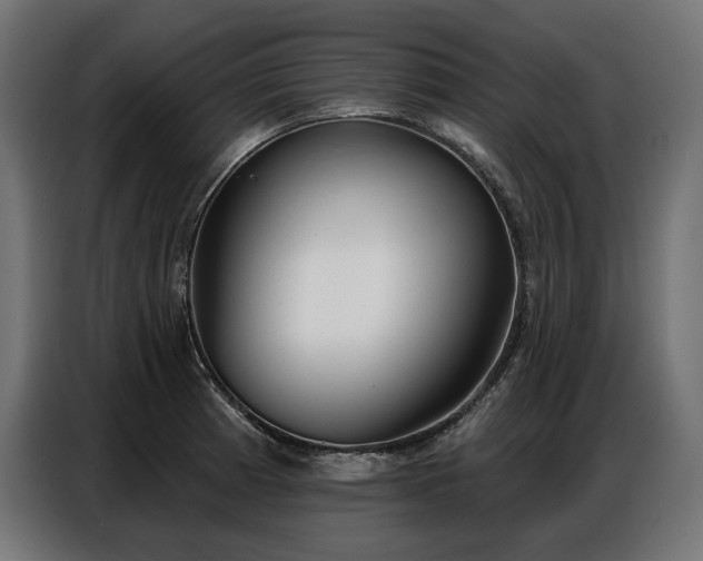 X0000086881185200704161214