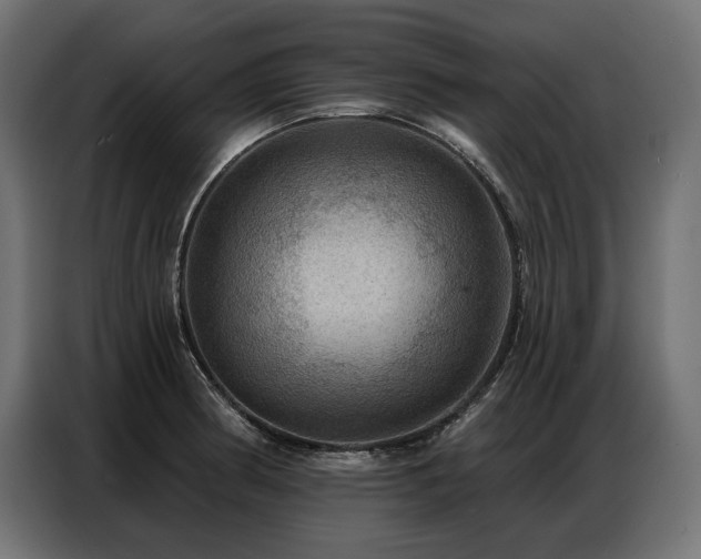 X0000086881186200704161214