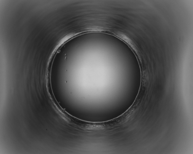 X0000086881187200704161214