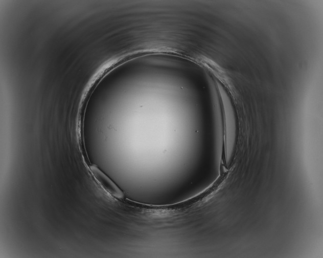 X0000086881188200704161214