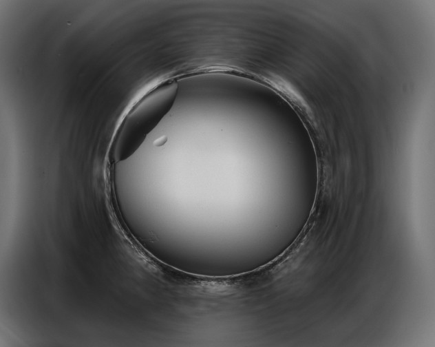 X0000086881190200704161214