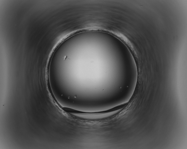 X0000086881191200704161214