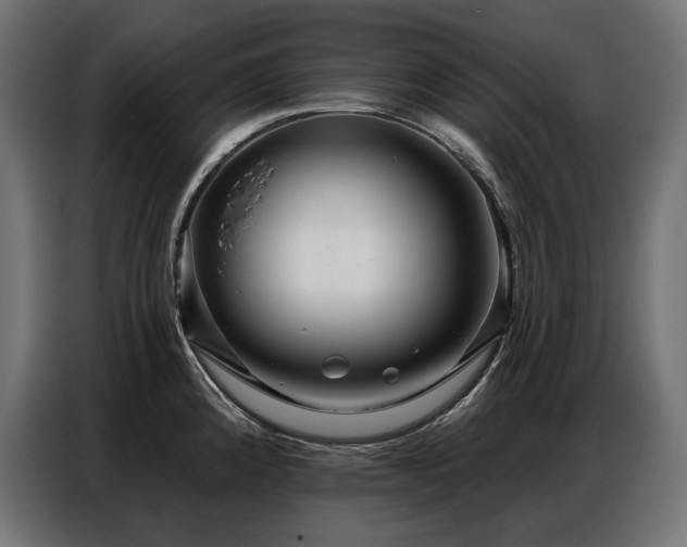 X0000086881192200704161214