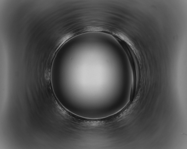 X0000086881193200704161214