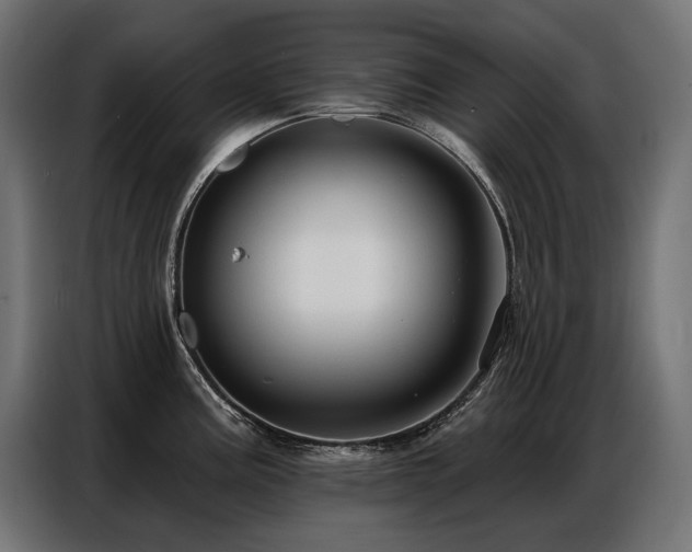 X0000086881195200704161214