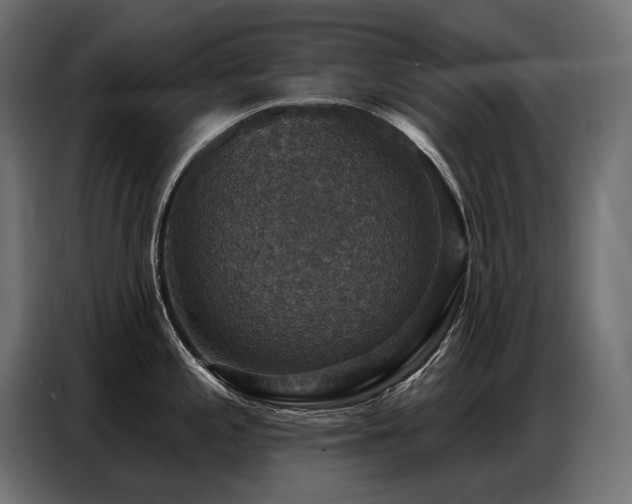 X0000086881197200704161214