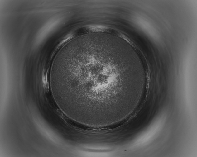 X0000086881198200704161214