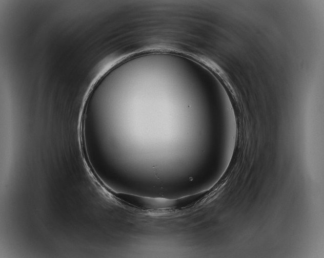 X0000086881199200704161214