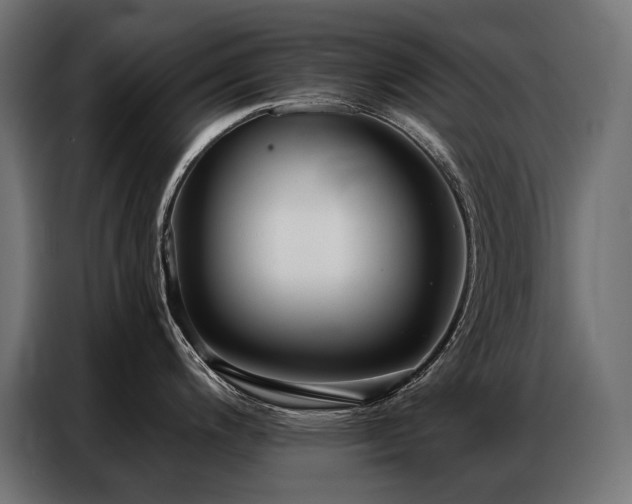 X0000086881200200704161214