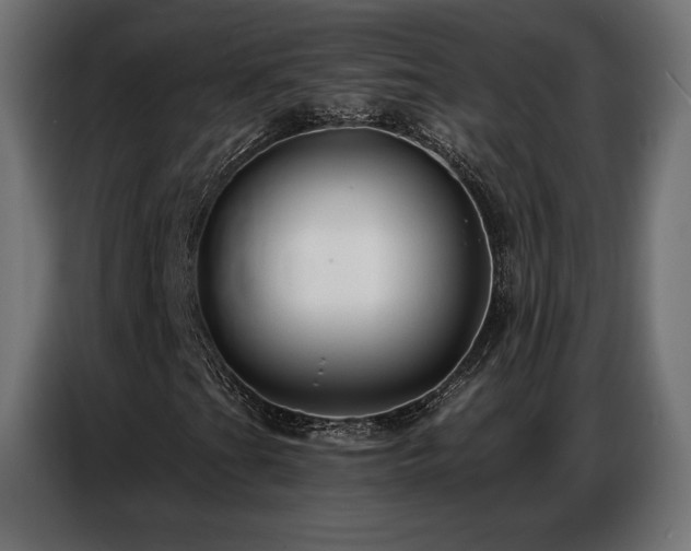 X0000086881201200704161213