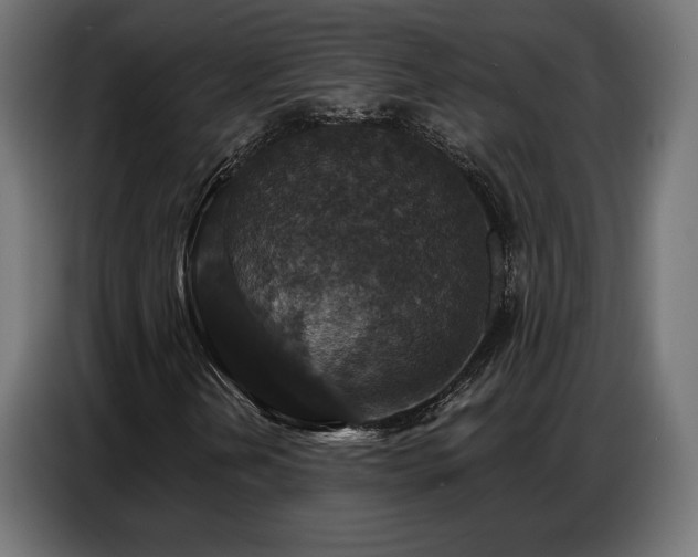 X0000086881202200704161213