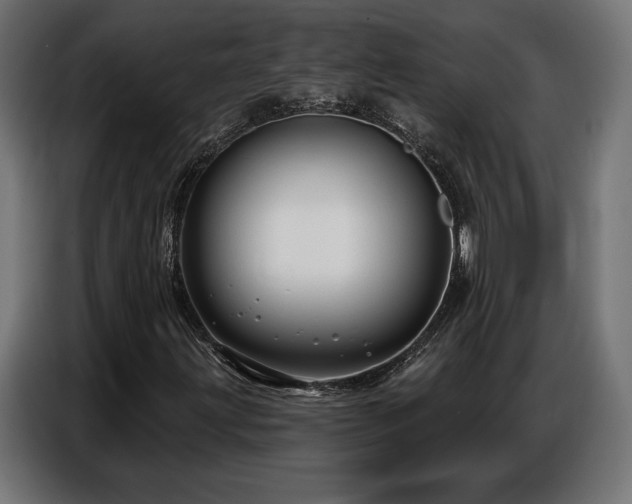 X0000086881203200704161213