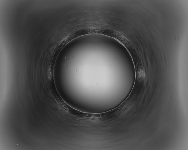 X0000086881204200704161213