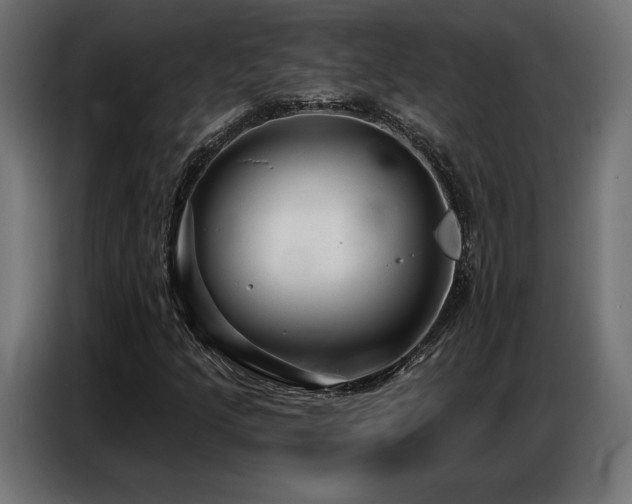 X0000086881205200704161213