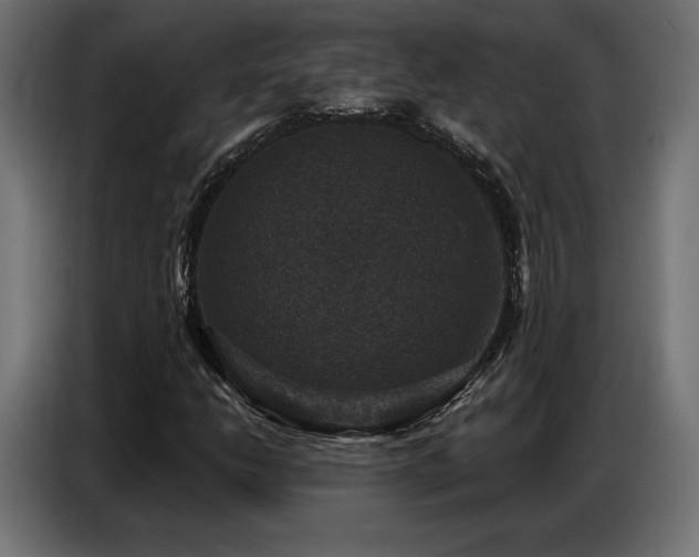 X0000086881206200704161213