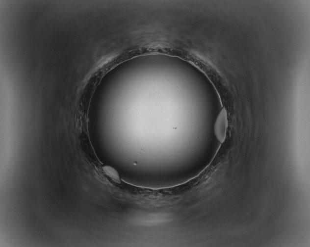 X0000086881207200704161213