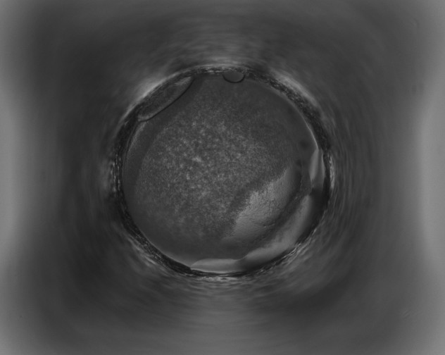 X0000086881208200704161213