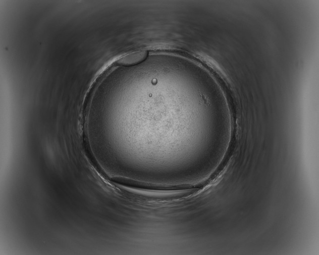 X0000086881212200704161213