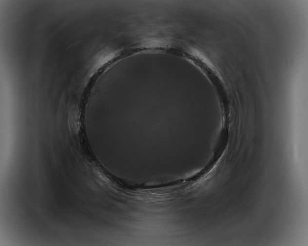 X0000086881213200704161213