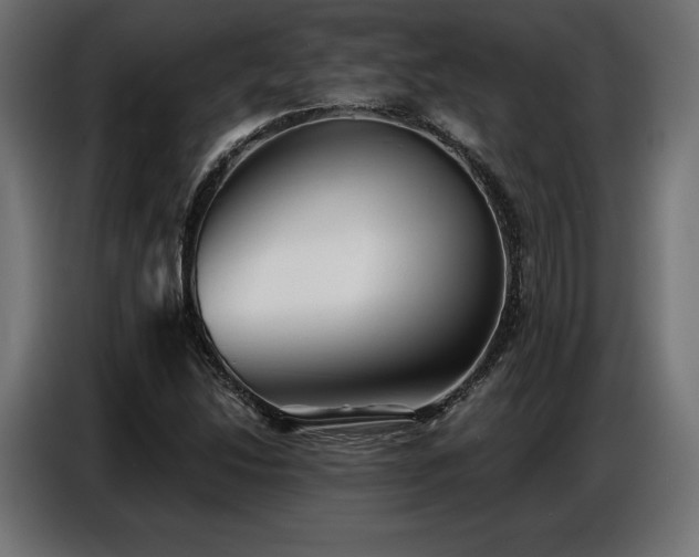 X0000086881214200704161213