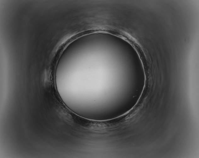 X0000086881215200704161213