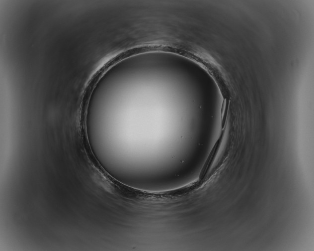 X0000086881216200704161213