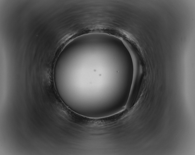 X0000086881217200704161213