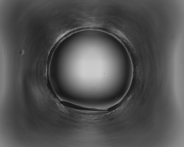 X0000086881220200704161213