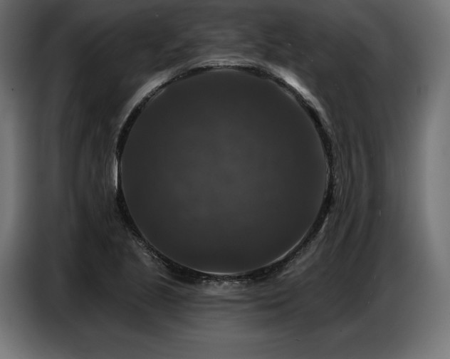 X0000086881221200704161213