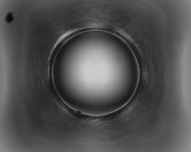 X0000086881222200704161213