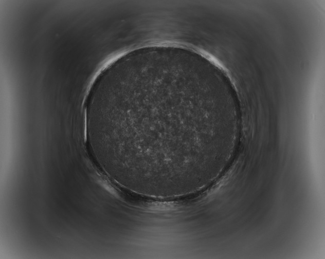 X0000086881223200704161213