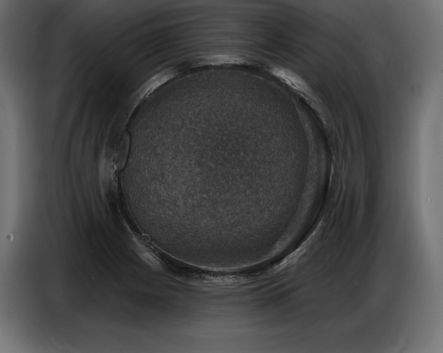 X0000086881225200704161213