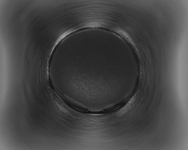 X0000086881226200704161213