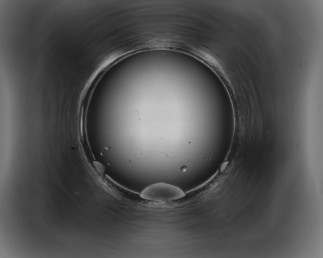 X0000086881227200704161213