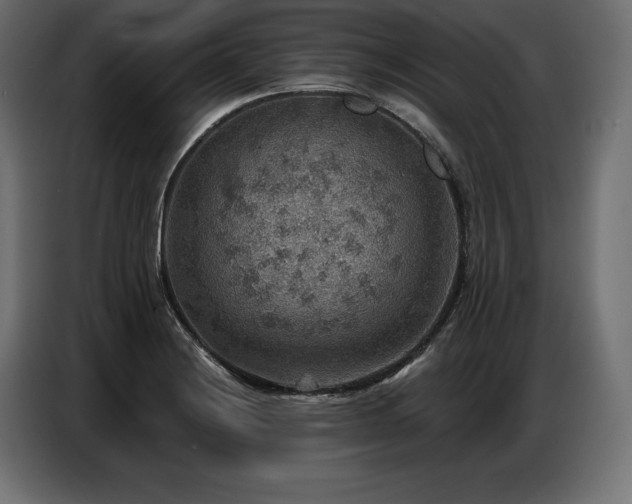 X0000086881228200704161213