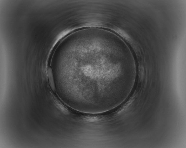 X0000086881230200704161214