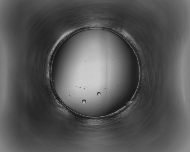 X0000086881232200704161214