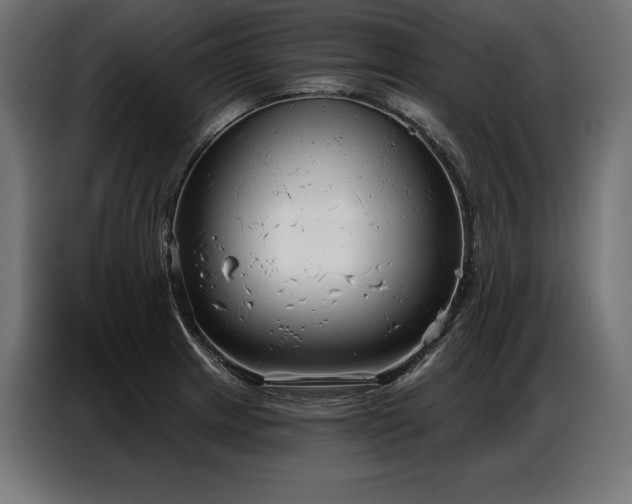 X0000086881233200704161214