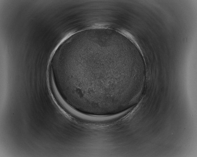 X0000086881235200704161214