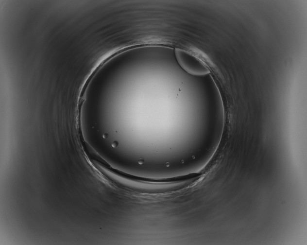 X0000086881236200704161214