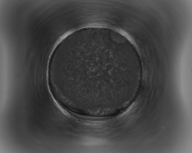 X0000086881237200704161214