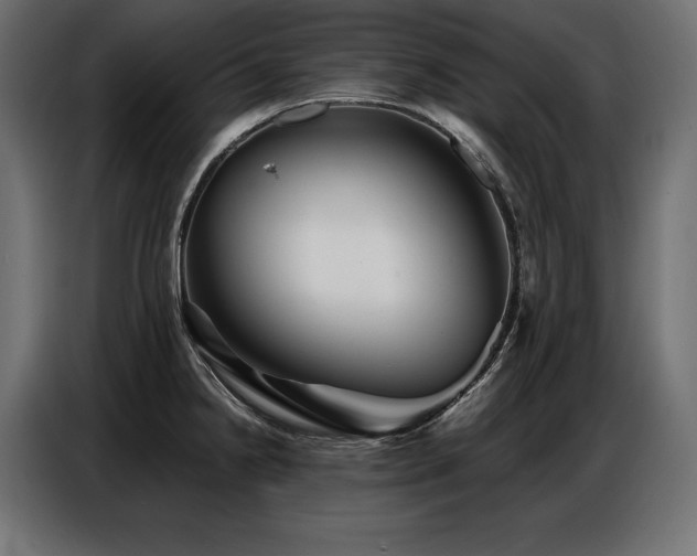 X0000086881238200704161214