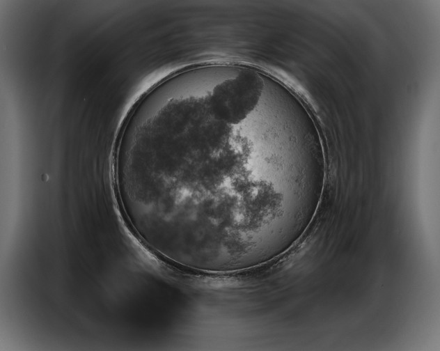 X0000086881239200704161214