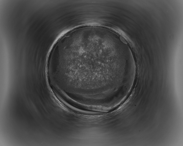 X0000086881240200704161214