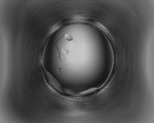 X0000086881241200704161214