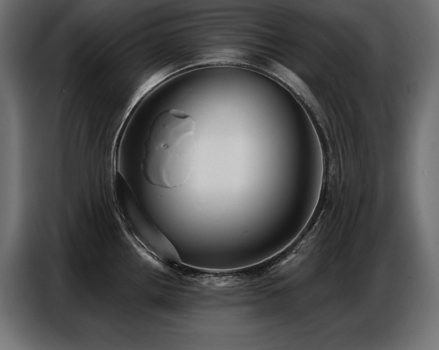 X0000086881242200704161214