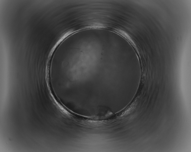 X0000086881243200704161214