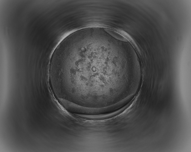 X0000086881244200704161214