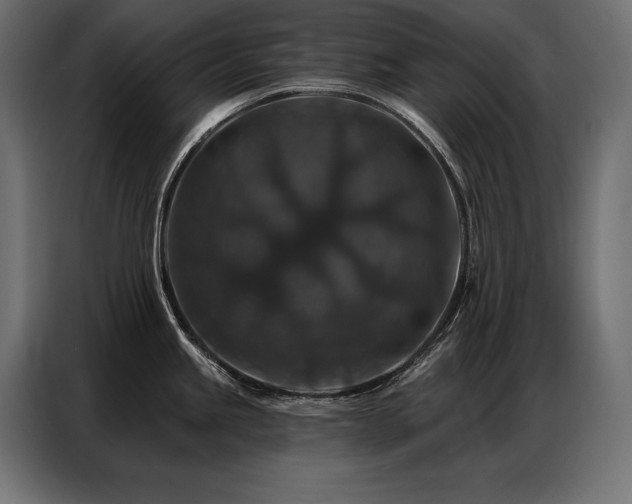 X0000086881245200704161214