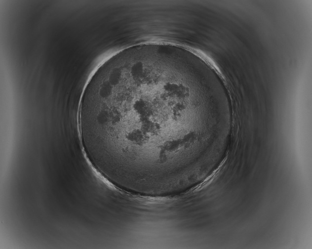 X0000086881247200704161214